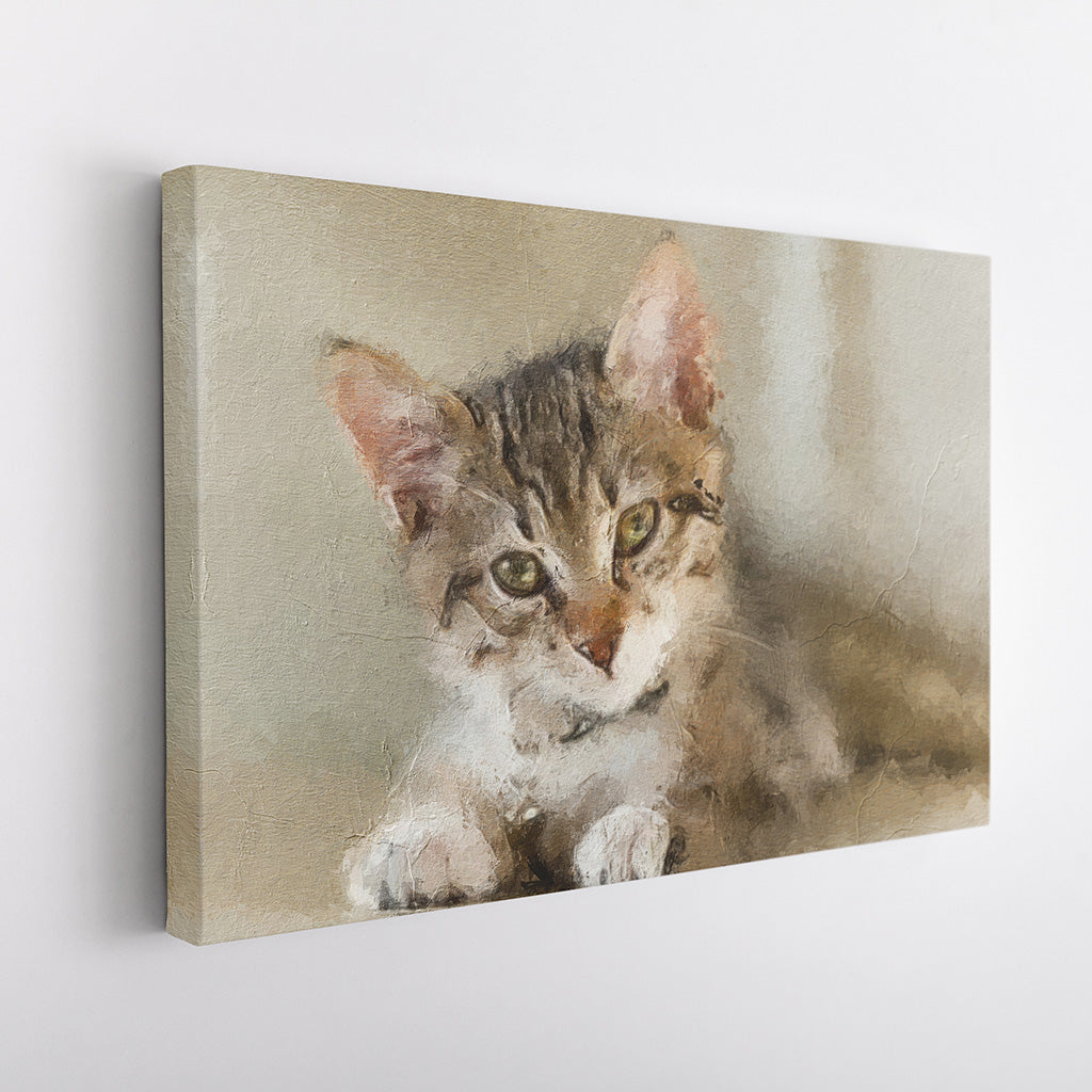 Custom Cat Portrait